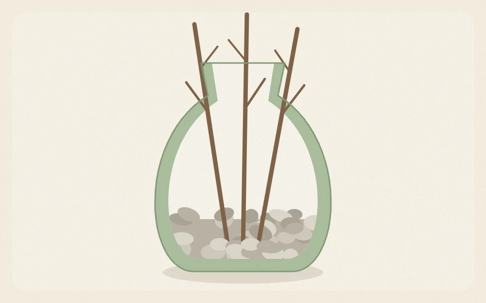 Vase in cross-section with pebbles in the bottom holding three branches upright