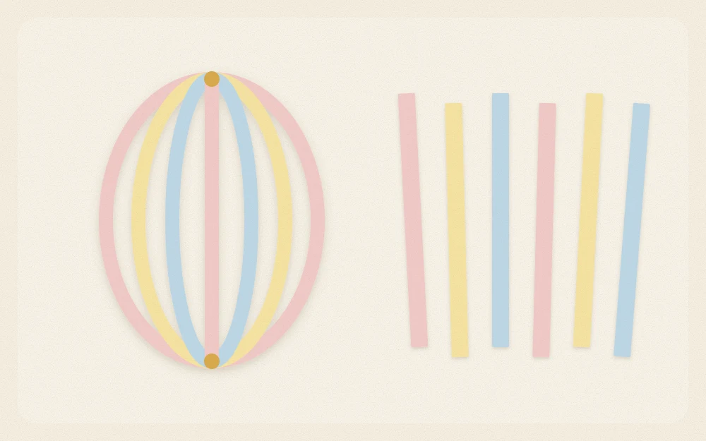 A paper egg made of curved cardstock strips gathered at both ends beside loose strips